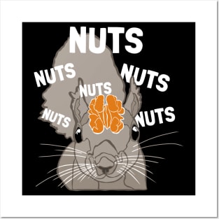 Nuts Brain Japanese Fox Eastern Gray Squirrel Lover Squirrel Posters and Art